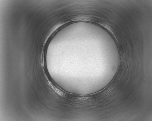 X0000054431131200508192117