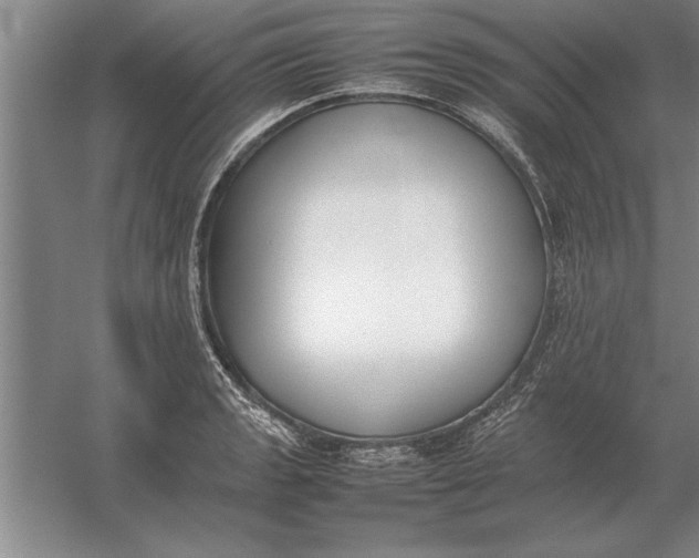 X0000054431133200508192117