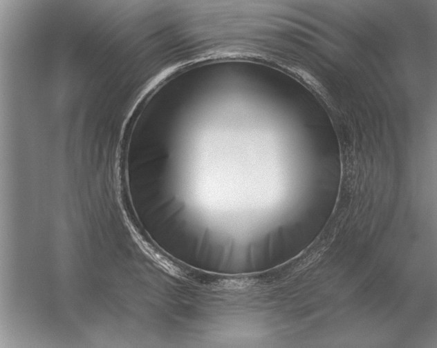 X0000054431134200508192117