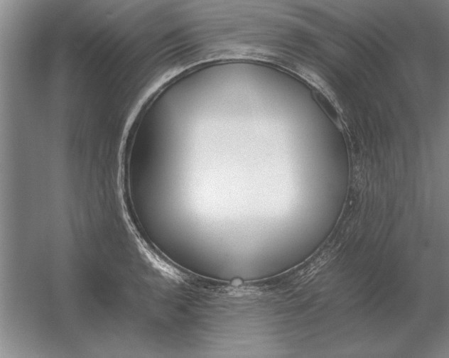 X0000054431136200508192117