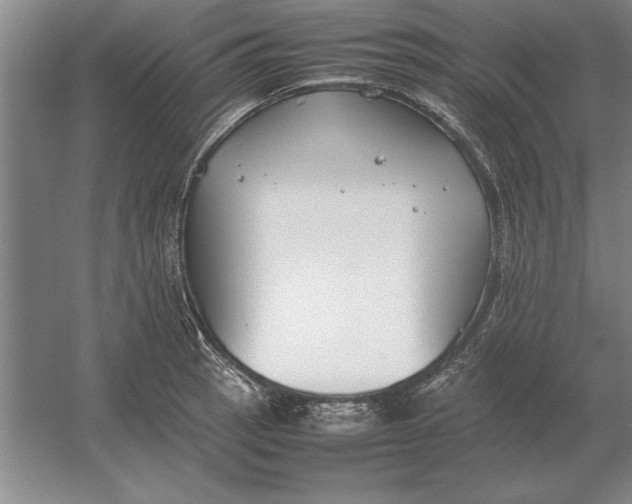 X0000054431137200508192117