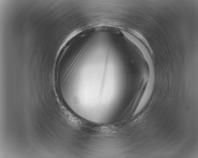 X0000054431138200508192117