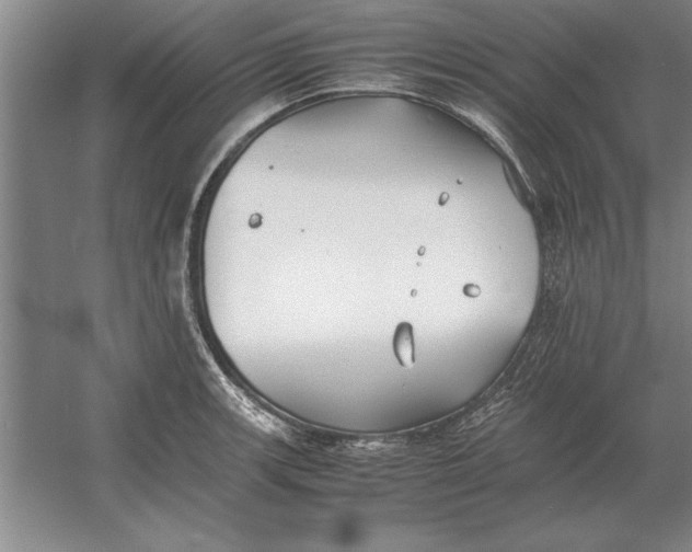 X0000054431139200508192117