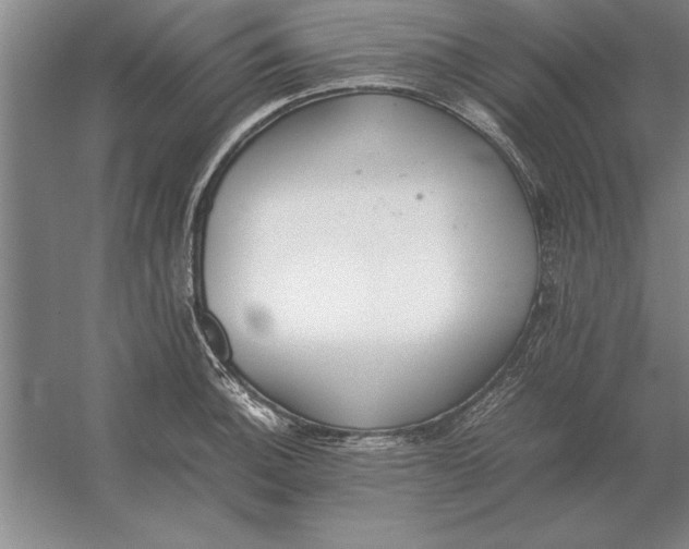 X0000054431140200508192117