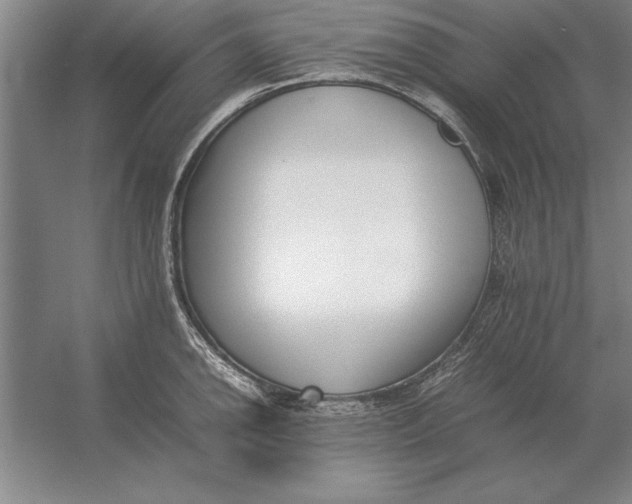 X0000054431142200508192117