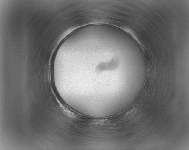 X0000054431143200508192117