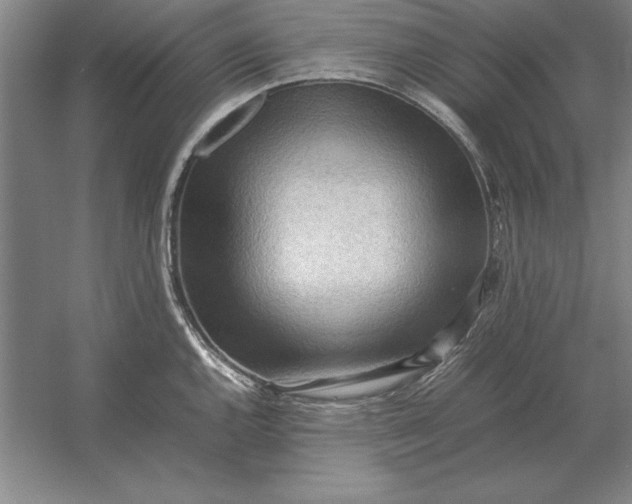 X0000054431144200508192117