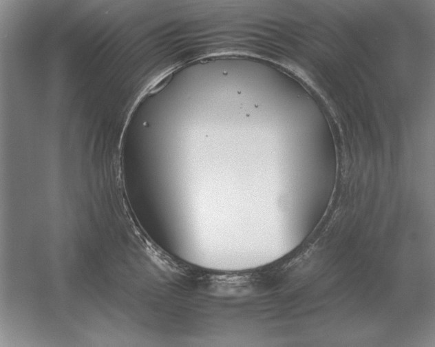 X0000054431145200508192117