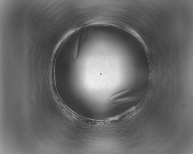 X0000054431146200508192117