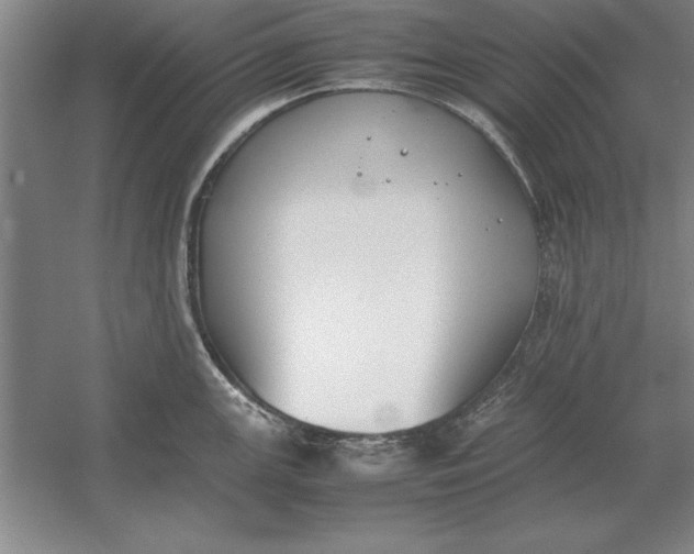 X0000054431147200508192117