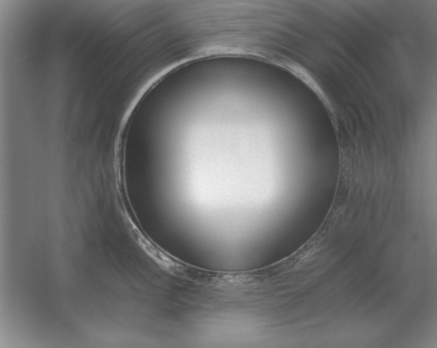 X0000054431148200508192117