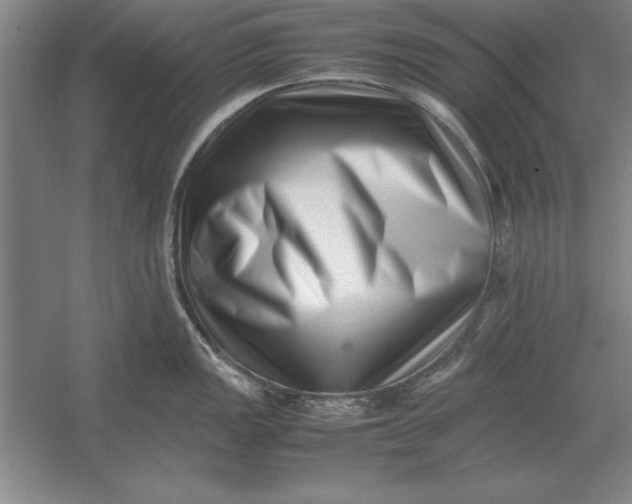 X0000054431149200508192117