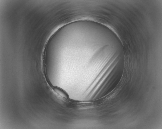 X0000054431151200508192117