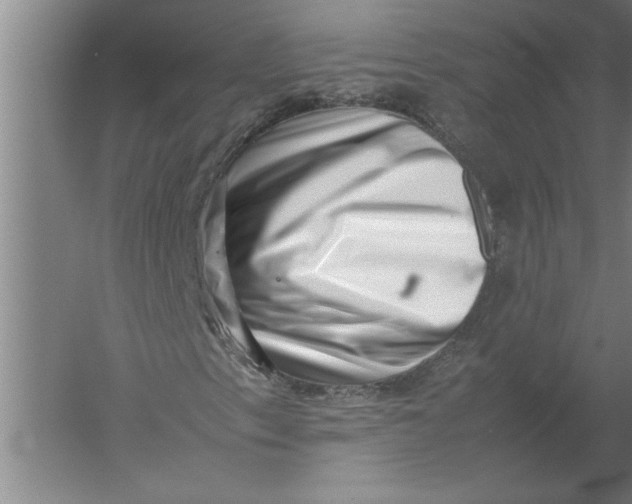 X0000054431153200508192116