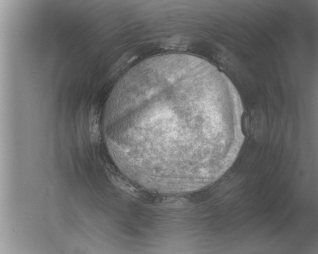 X0000054431154200508192116