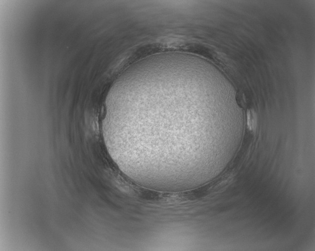 X0000054431155200508192116