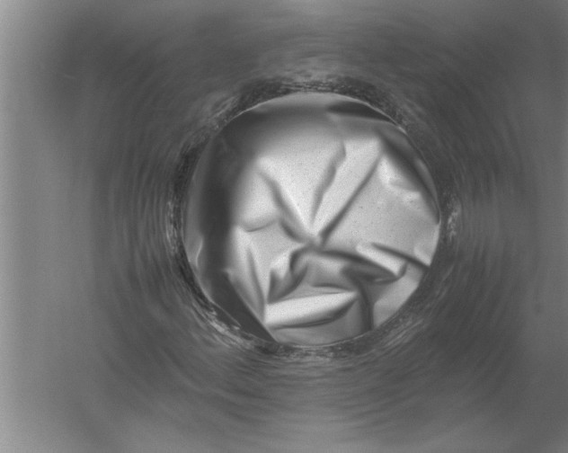 X0000054431156200508192116