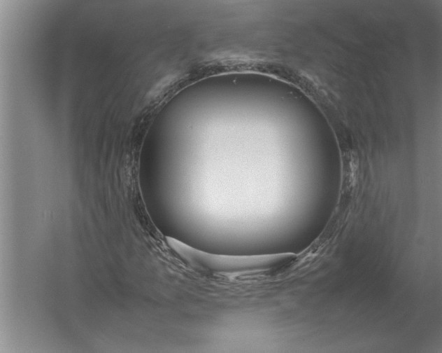 X0000054431157200508192116