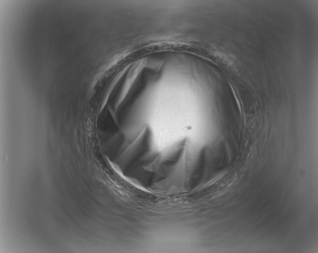 X0000054431159200508192116