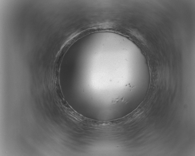 X0000054431160200508192116