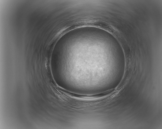 X0000054431161200508192116