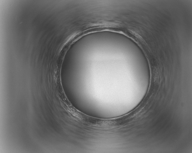 X0000054431163200508192116