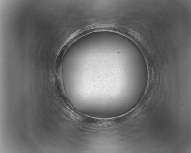 X0000054431165200508192116