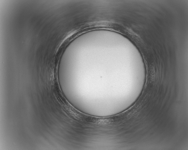 X0000054431166200508192116