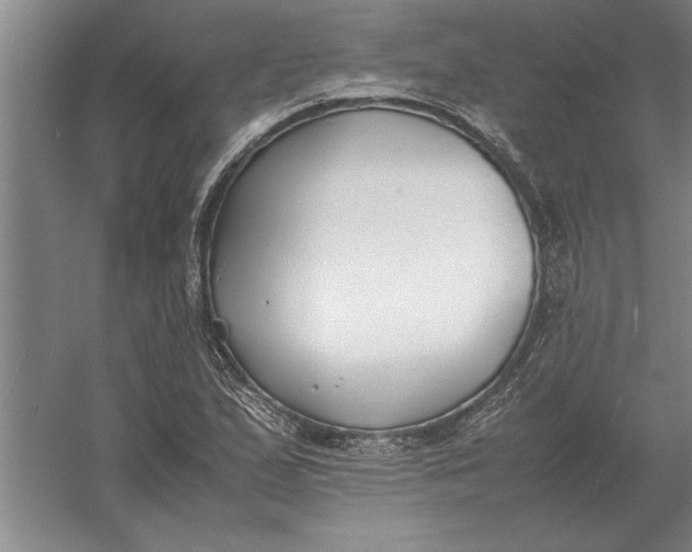 X0000054431167200508192116