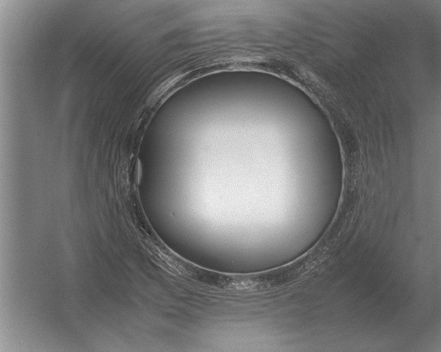 X0000054431169200508192116