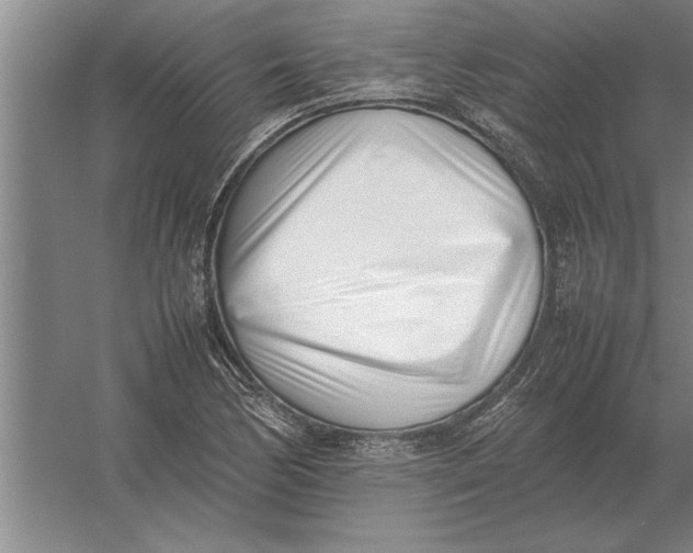 X0000054431170200508192116