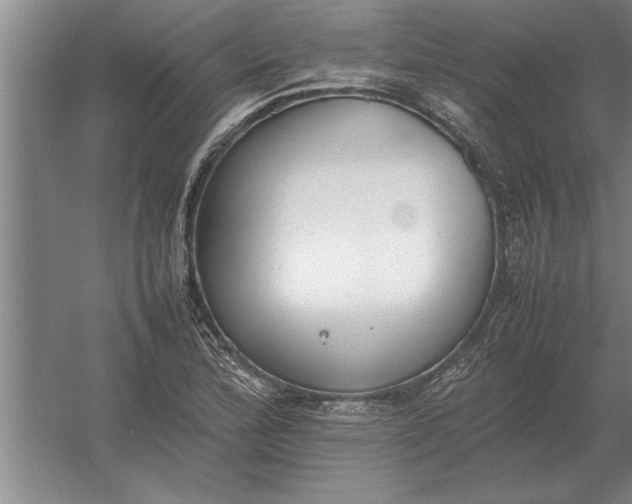 X0000054431172200508192116