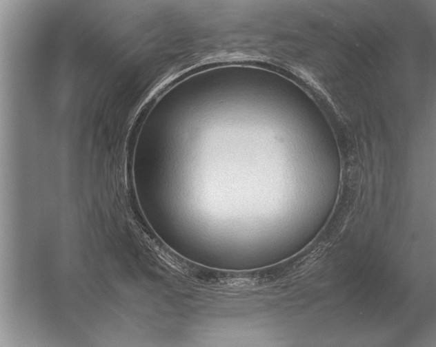 X0000054431173200508192116