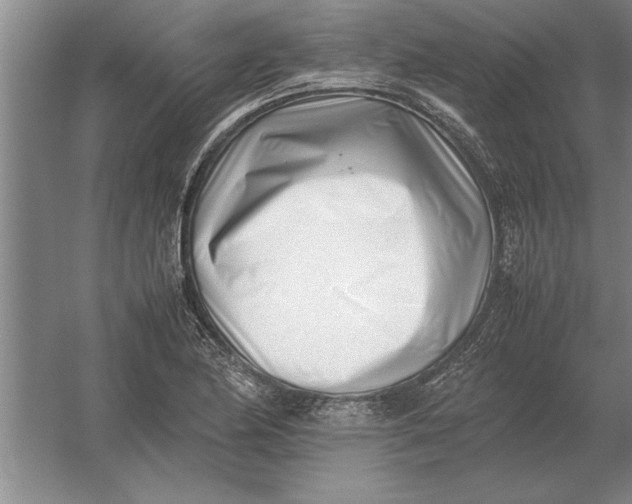 X0000054431174200508192116