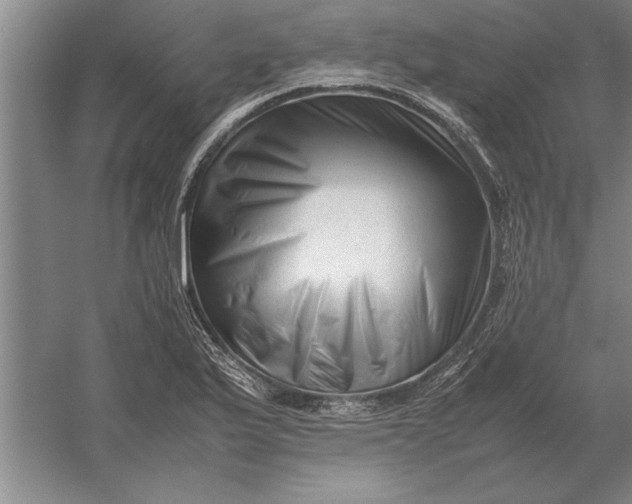 X0000054431175200508192116