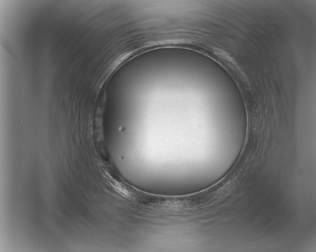 X0000054431177200508192116