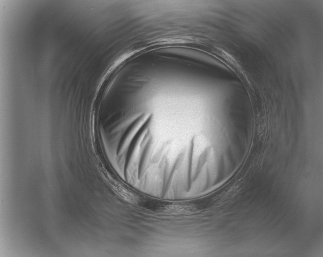 X0000054431179200508192116