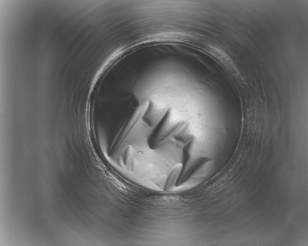 X0000054431180200508192116