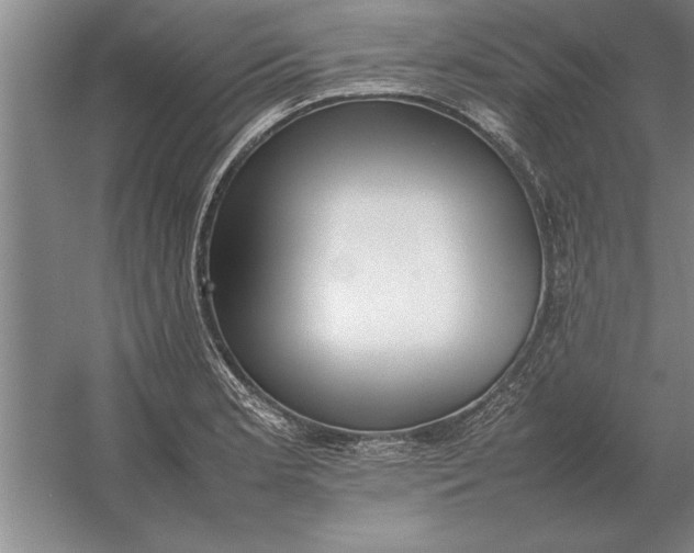 X0000054431181200508192116