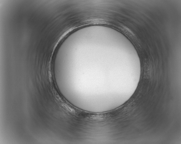 X0000054431182200508192116