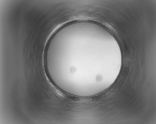 X0000054431183200508192116