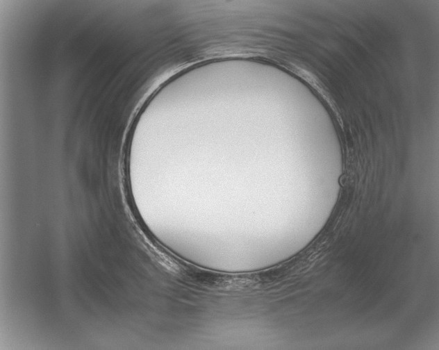 X0000054431187200508192115