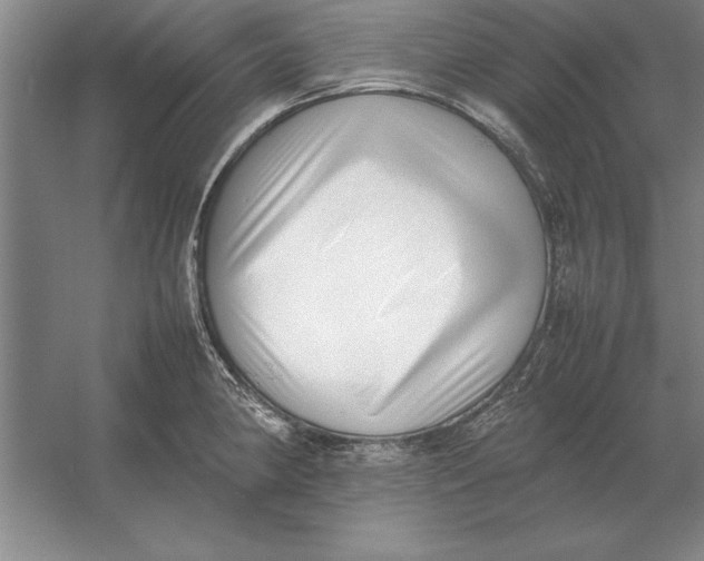 X0000054431190200508192115