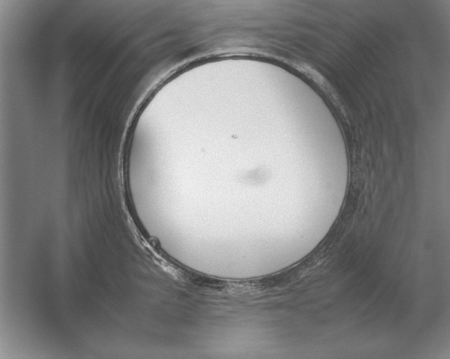 X0000054431191200508192115