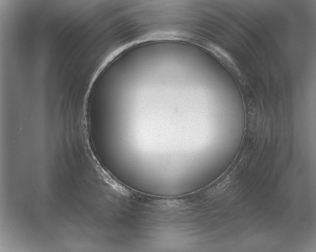 X0000054431192200508192115