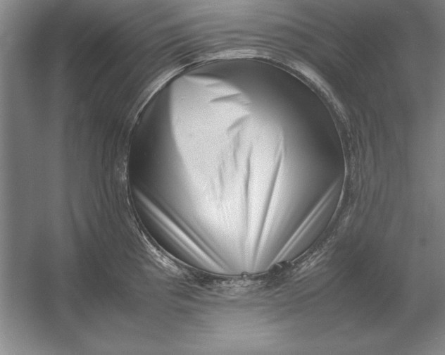 X0000054431193200508192115