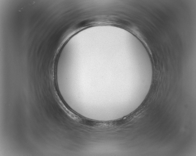 X0000054431195200508192115