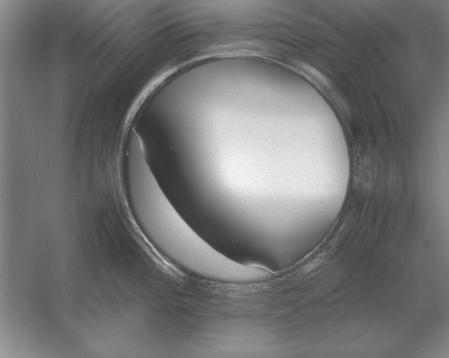 X0000054431196200508192115