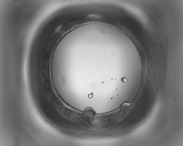 X0000054431199200508192115