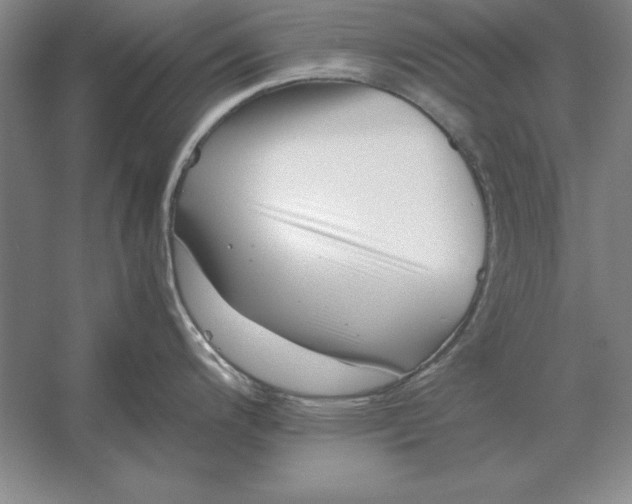 X0000054431200200508192115